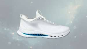 ECCO Biom C5