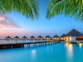 Luxus Resort mit Meer und Palmen