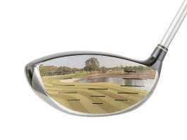 Zpckerfibel für Golfer